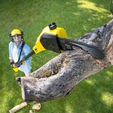 Best Tree Maintenance Programs  in Pine Grove Mills, PA